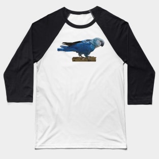 Spix's Macaw Baseball T-Shirt